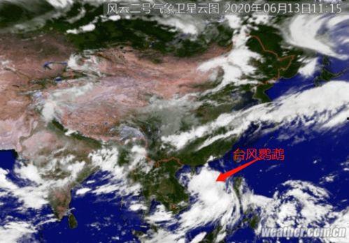 台风鹦鹉最新爆料,最新动态及防范措施全解析” 第2张 台风鹦鹉最新爆料,最新动态及防范措施全解析” 第2张